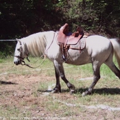 Photo de Camargue