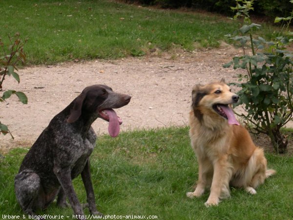 Photo de Races diffrentes