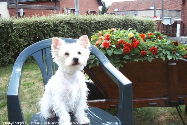 Photo de Croisement