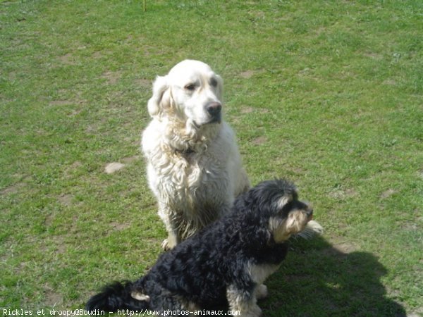 Photo de Races diffrentes