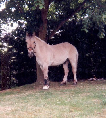 Photo de Fjord