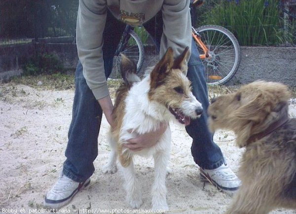 Photo de Races diffrentes