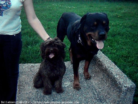 Photo de Races diffrentes