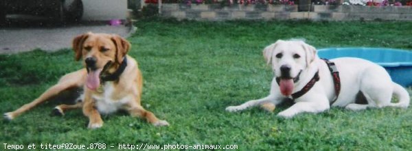 Photo de Races diffrentes