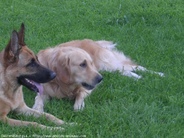 Photo de Races diffrentes