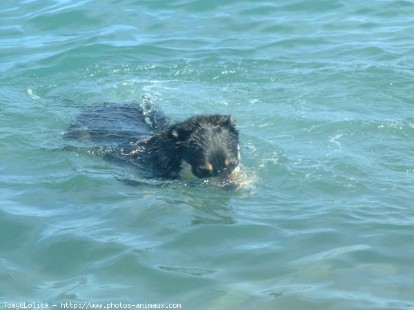 Photo de Croisement