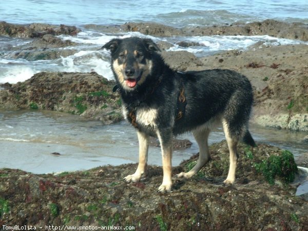 Photo de Croisement