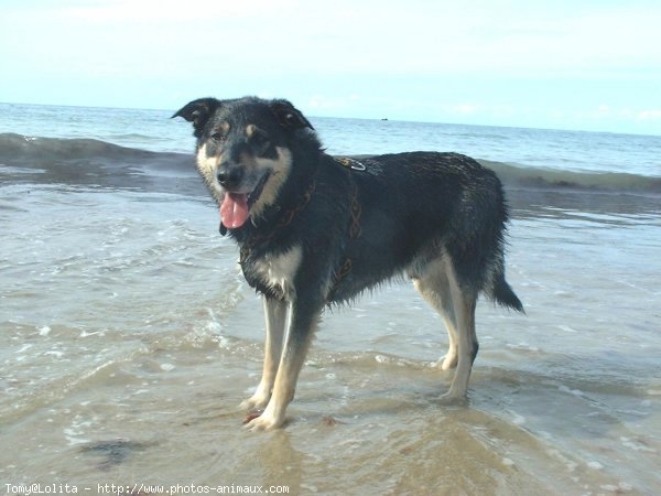 Photo de Croisement