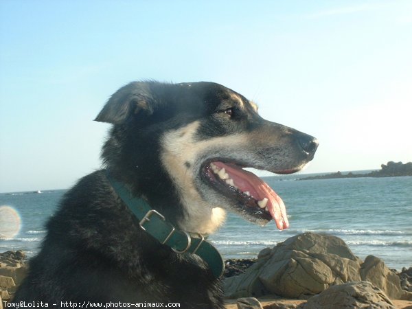 Photo de Croisement