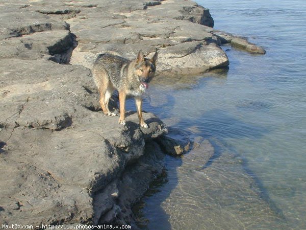 Photo de Croisement