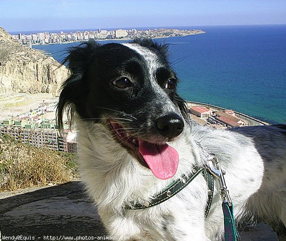 Photo de Croisement