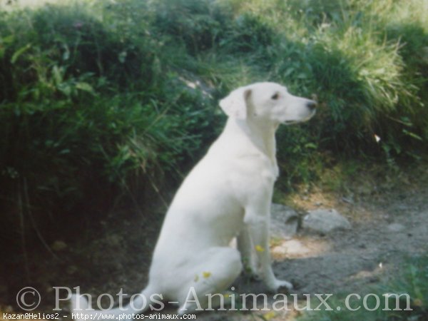 Photo de Croisement