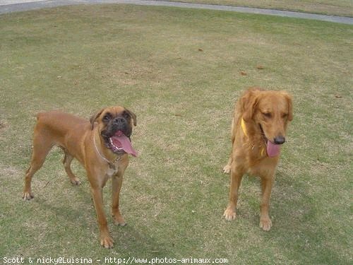 Photo de Races diffrentes