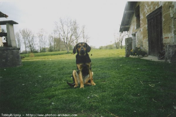 Photo de Races diffrentes