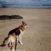 Photo de Croisement