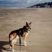 Photo de Croisement