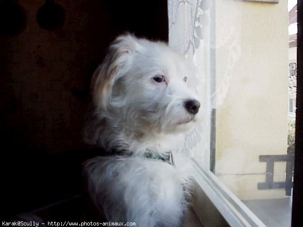 Photo de Croisement