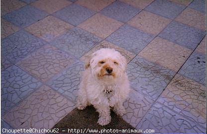 Photo de Croisement