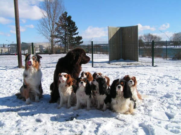 Photo de Races diffrentes