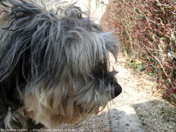 Photo de Croisement