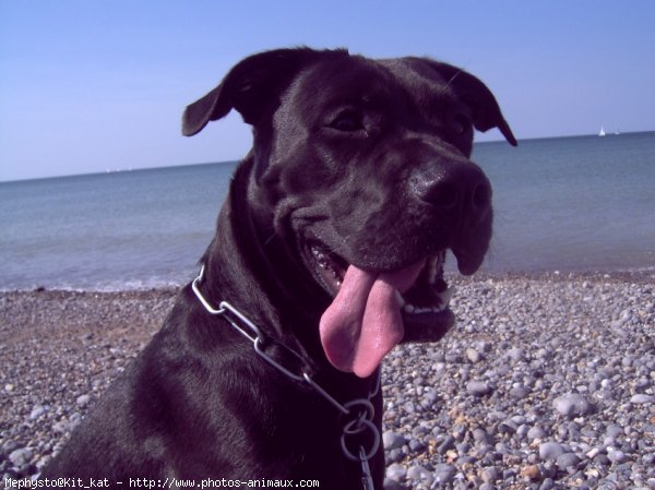 Photo de Croisement