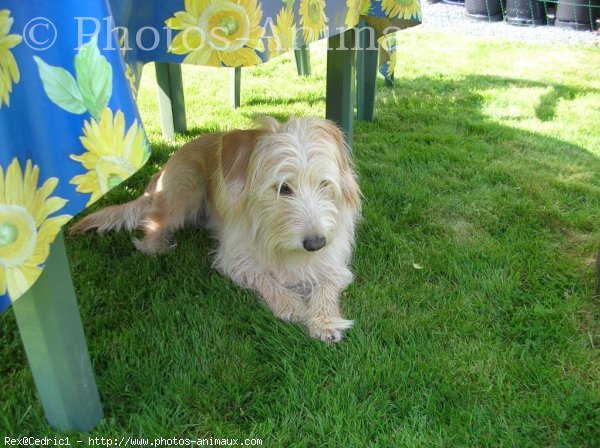 Photo de Croisement