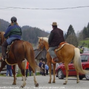 Photo de Quarter horse