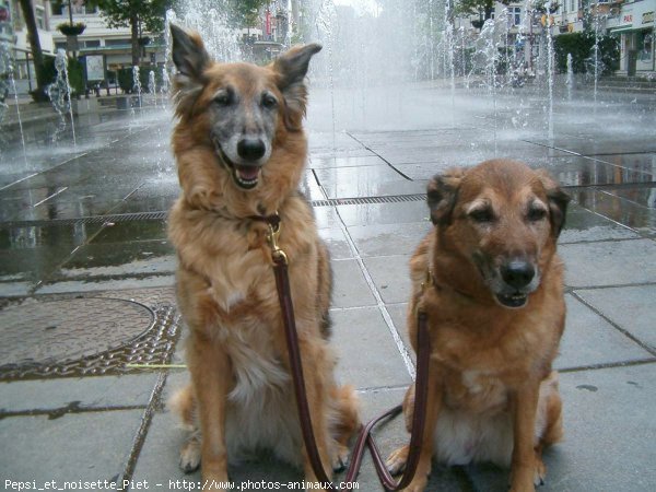 Photo de Croisement