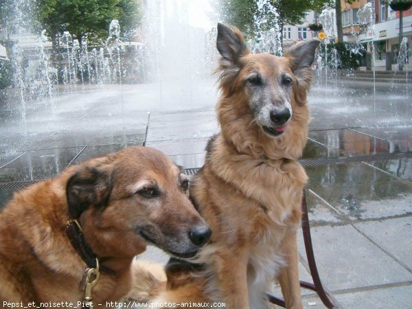 Photo de Croisement