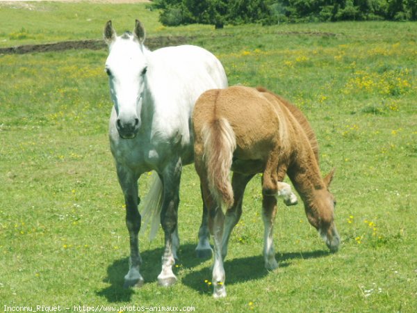 Photo de Suisse