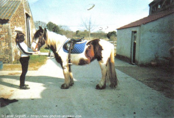 Photo de Races diffrentes