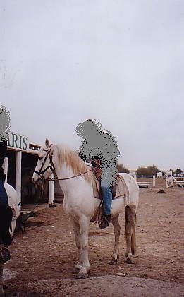 Photo de Camargue