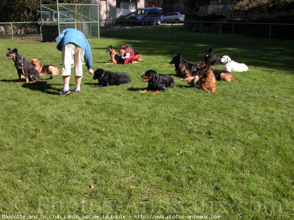 Photo de Races diffrentes