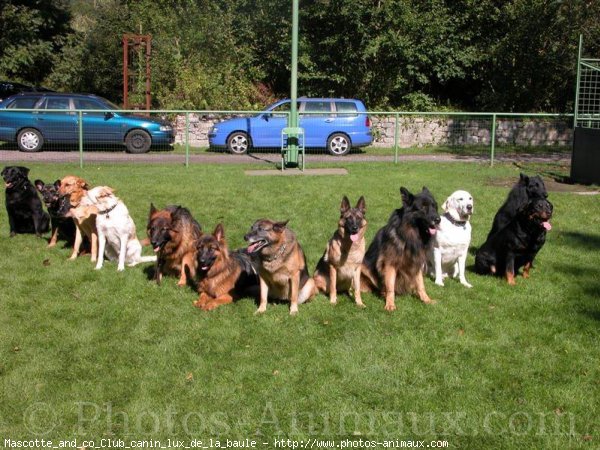 Photo de Races diffrentes