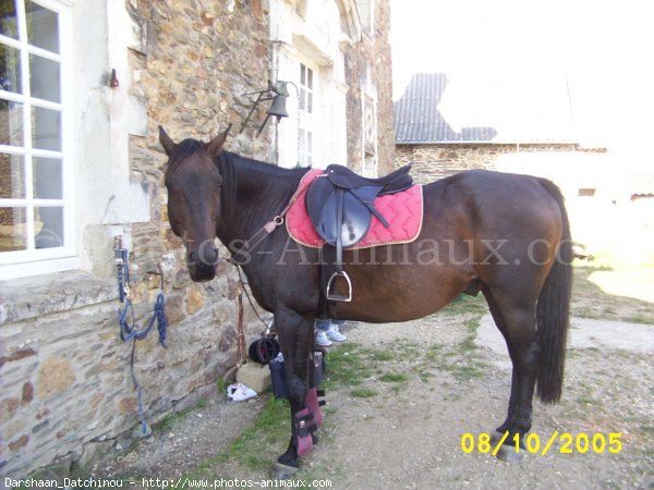 Photo de Croisement