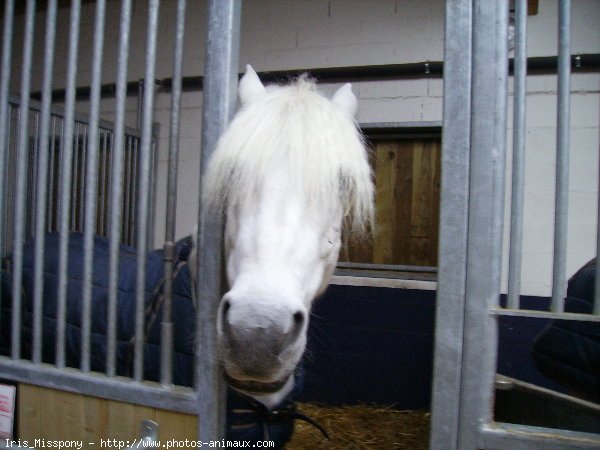 Photo de Camargue