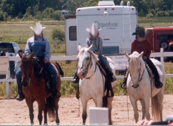 Photo de Races diffrentes