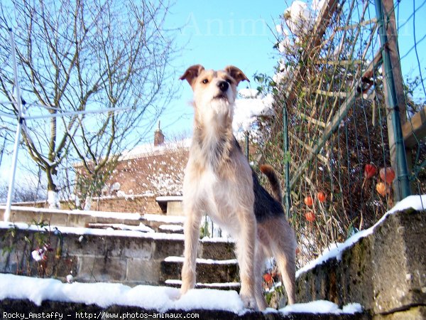 Photo de Croisement