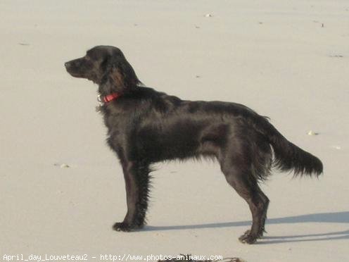 Photo de Croisement