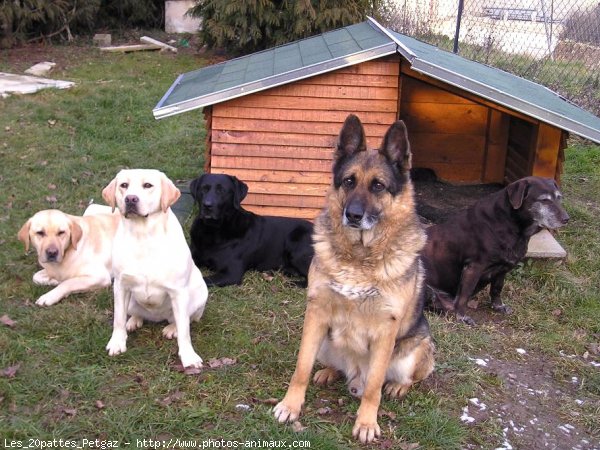 Photo de Races diffrentes