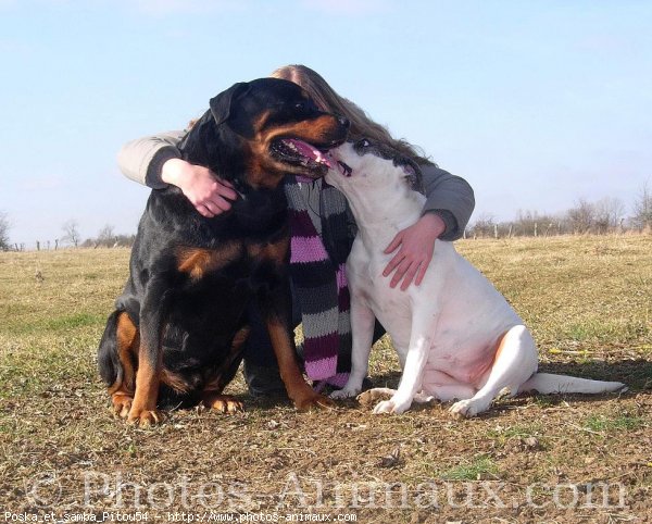 Photo de Races diffrentes