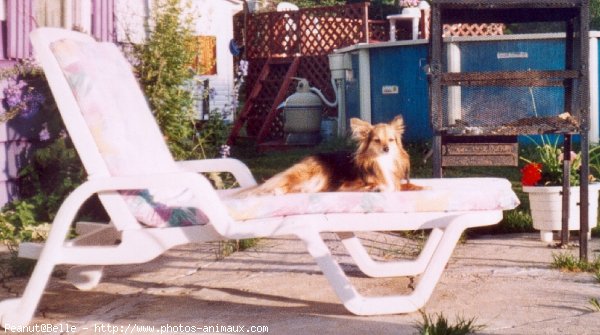 Photo de Croisement