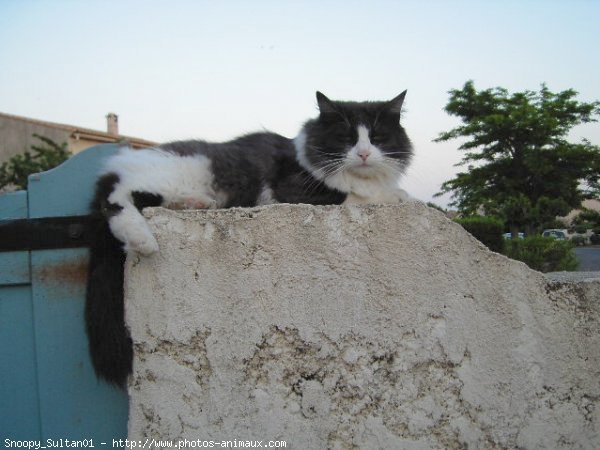 Photo de Croisement