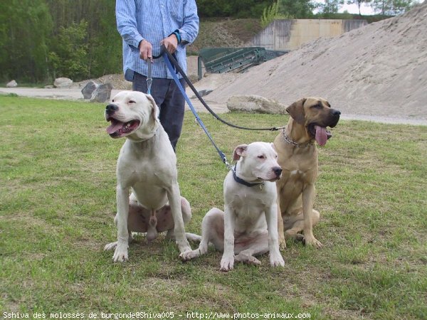 Photo de Races diffrentes