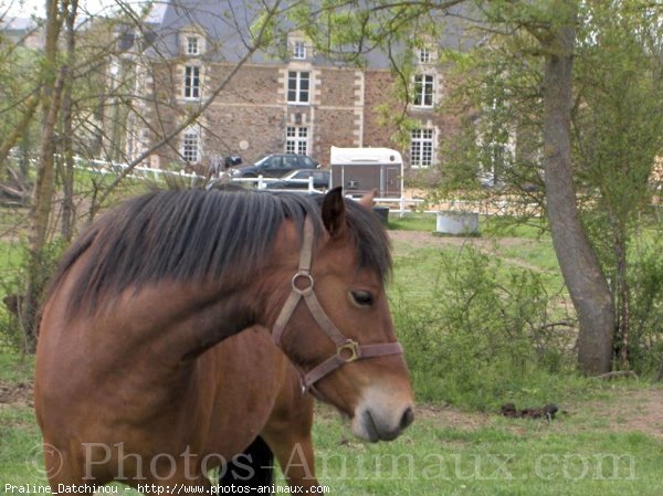 Photo de Croisement