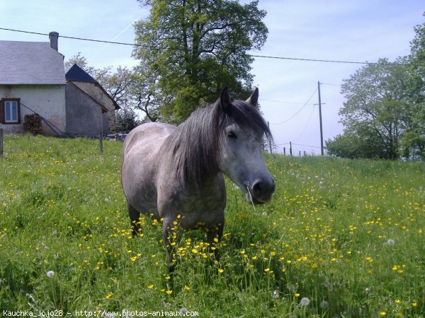 Photo de Croisement