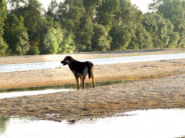 Photo de Croisement