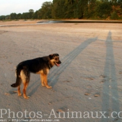 Photo de Croisement