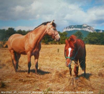 Photo de Connemara