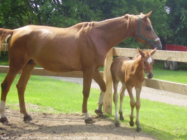 Photo de Races diffrentes